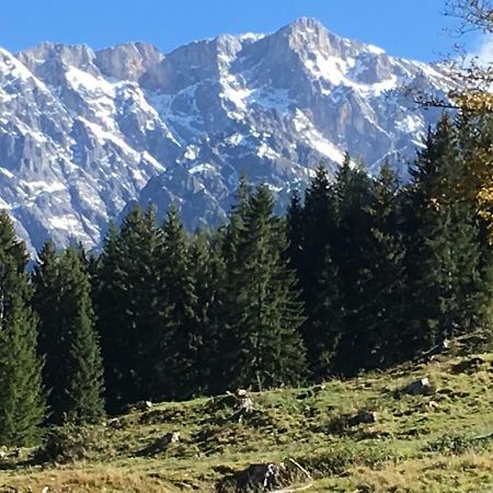 Villa Auhaeuslalm Maria Alm am Steinernen Meer Exterior foto