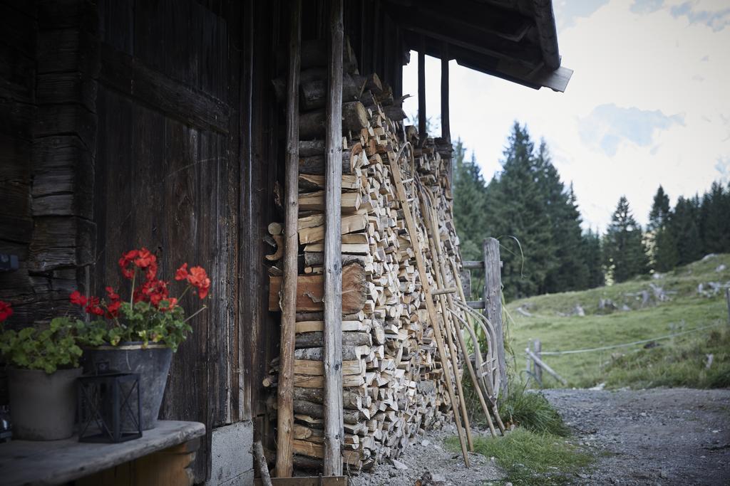 Villa Auhaeuslalm Maria Alm am Steinernen Meer Habitación foto