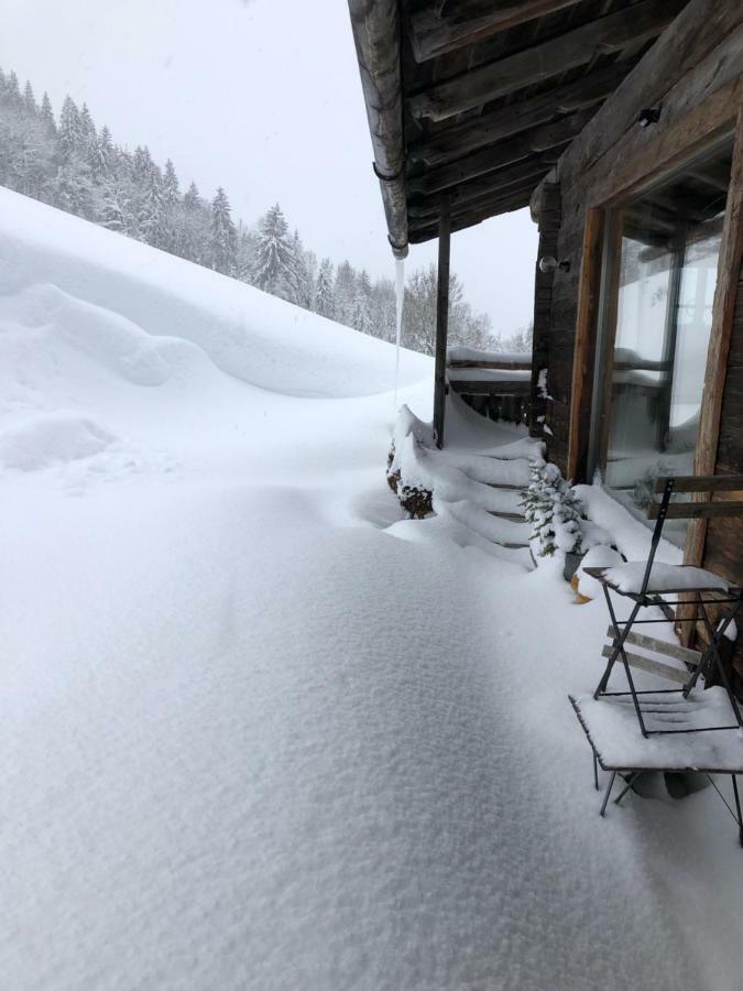 Villa Auhaeuslalm Maria Alm am Steinernen Meer Exterior foto