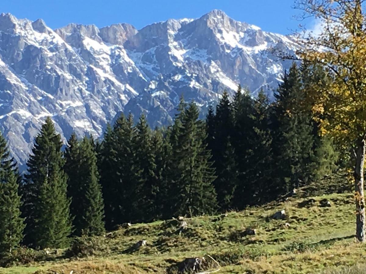 Villa Auhaeuslalm Maria Alm am Steinernen Meer Exterior foto